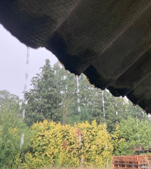Dak met dakpannen en dakgoot